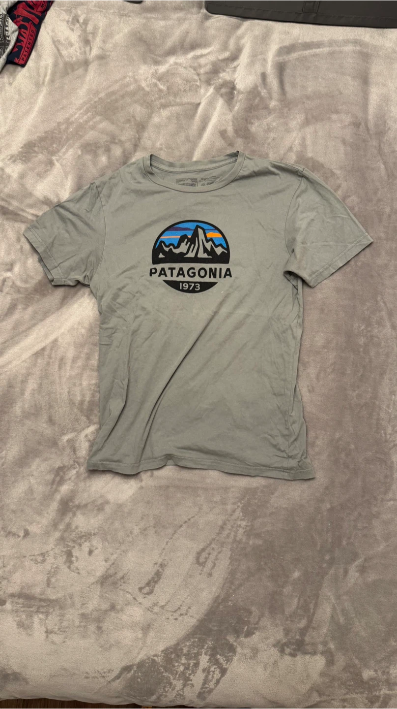 Patagonia Organic Cotton T-Shirt - Size Small