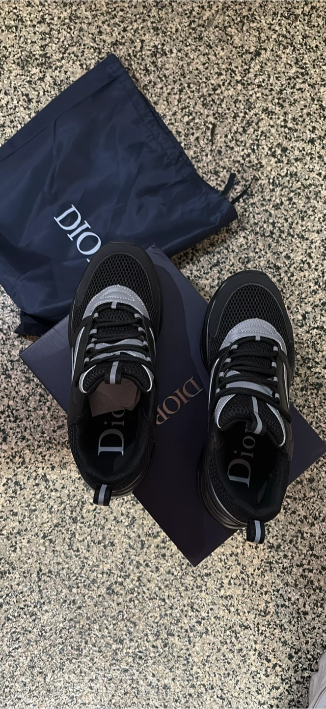 Dior b22s