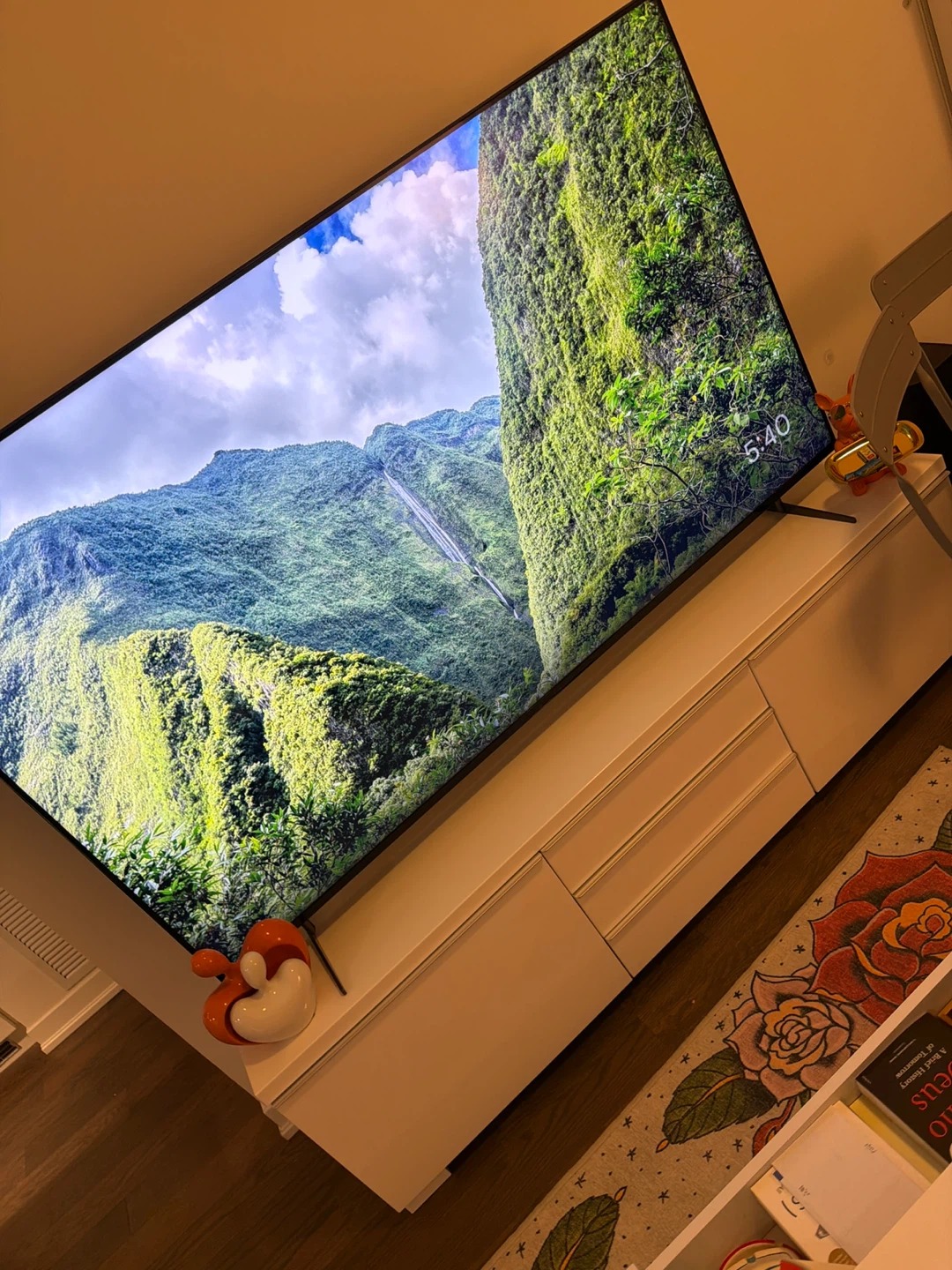 Sony 75 Inch TV