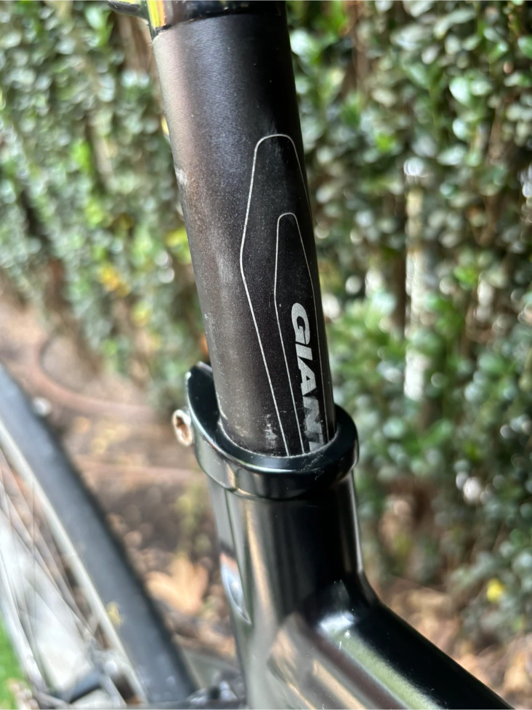 Aquila Fixed Gear Bike