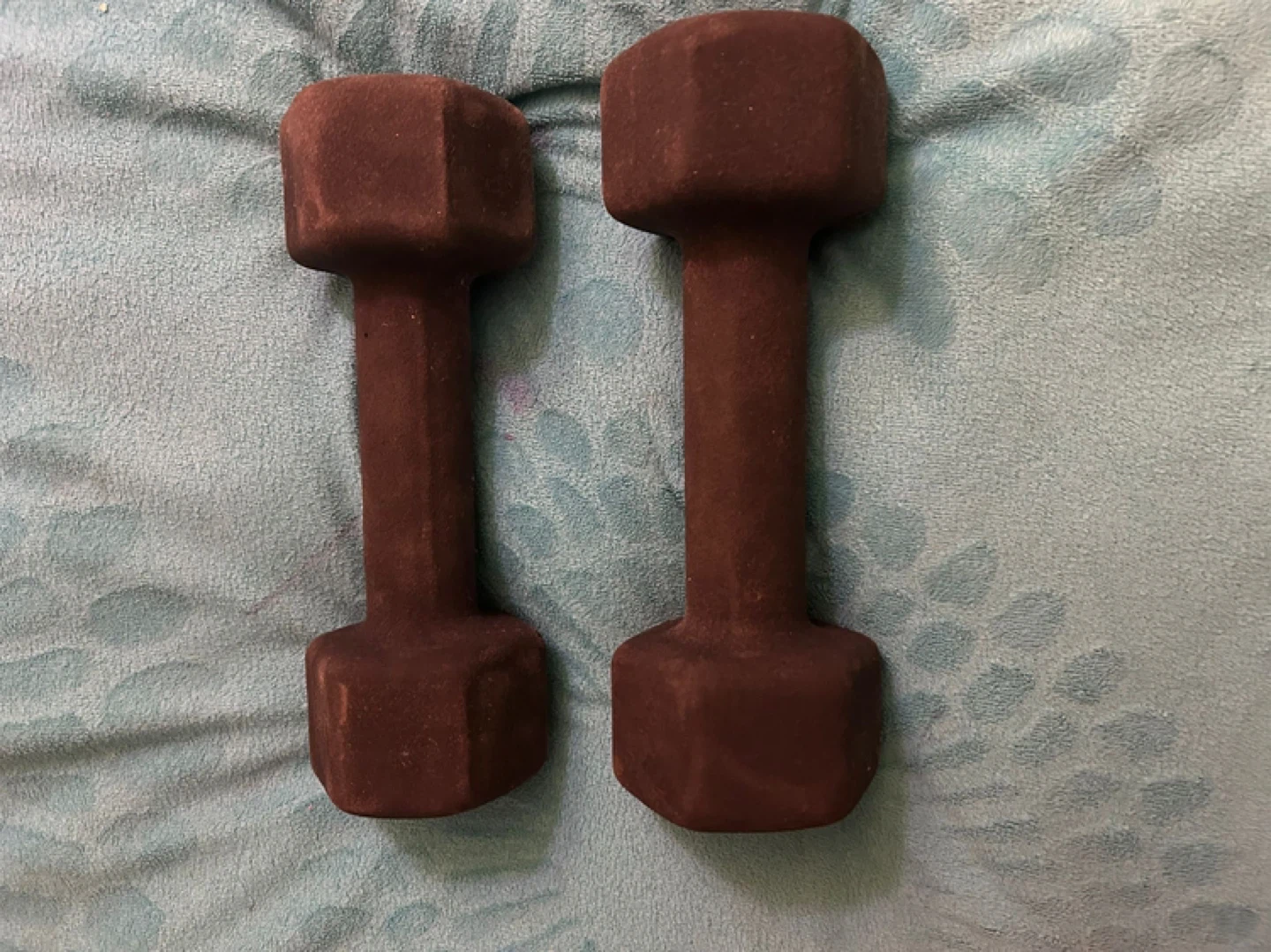 Pair of 10 kg Dumbbells