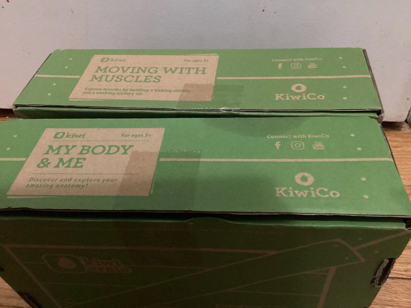New KiwiCo Crates: Moving with Muscles & My Body