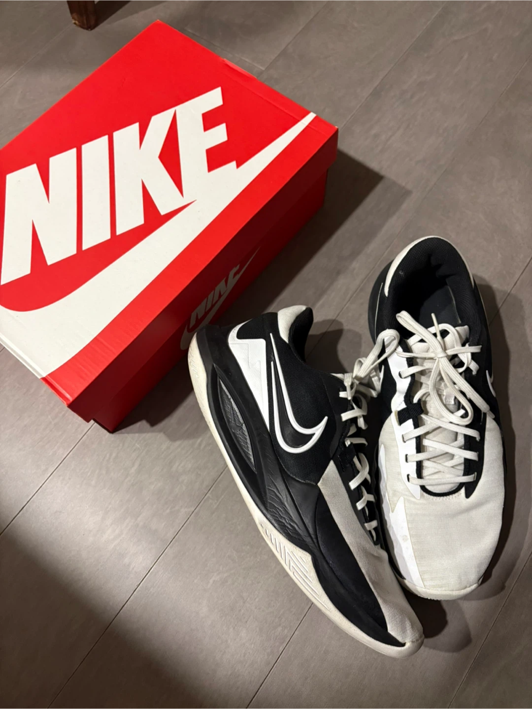 Nike Giannis Immortality 3 Basketball Shoes