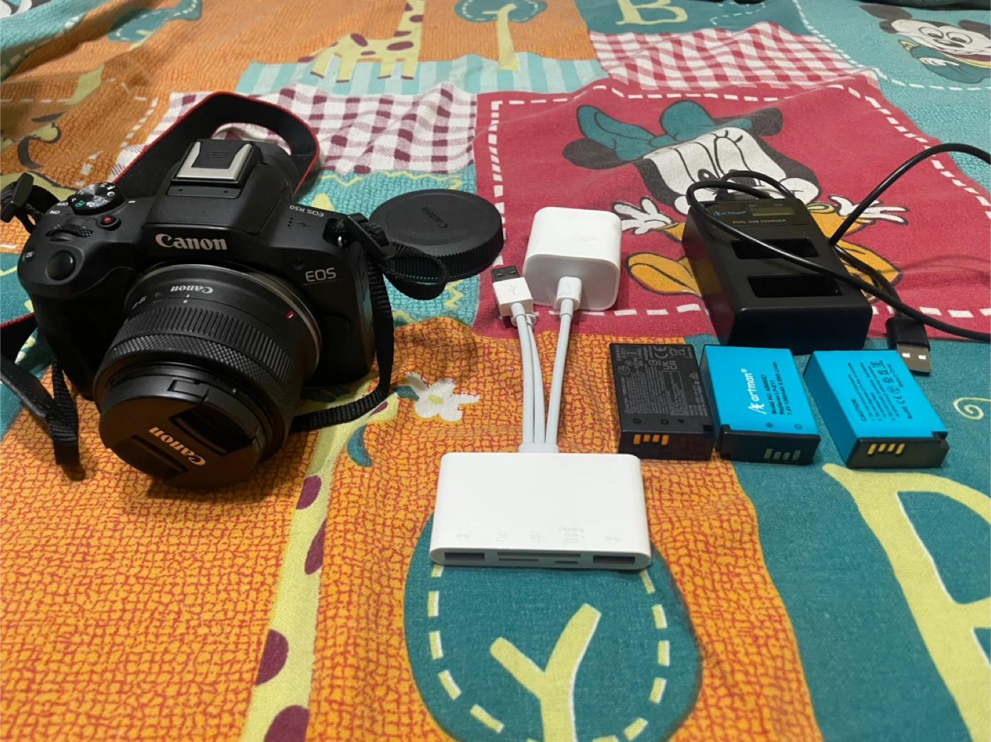 Canon EOSR50 Camera - photo 5
