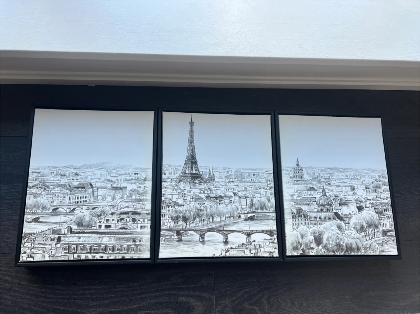 Paris Skyline Framed Triptych Art