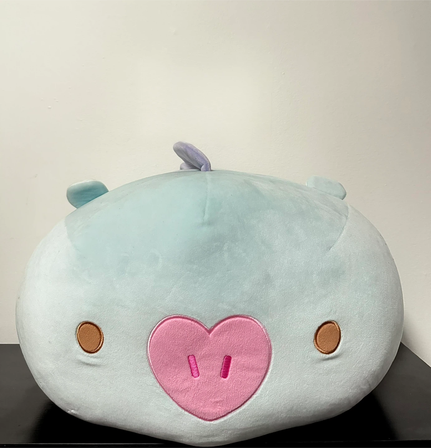 BT21 Large Mang Mochi Ball