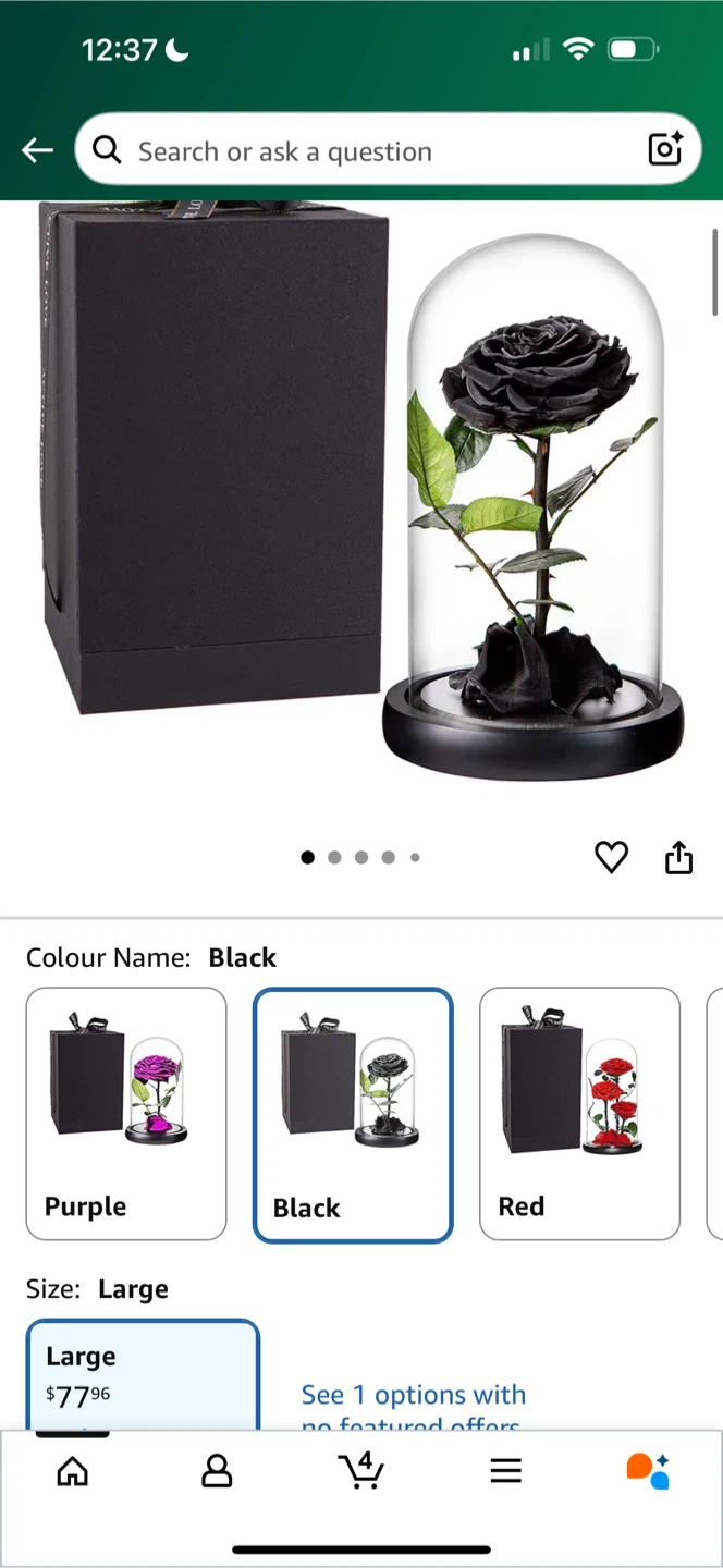 Perfectione Roses Large Preserved Rose - Black