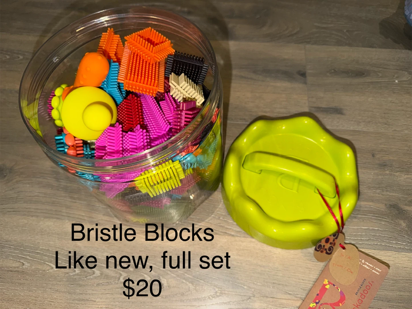 Bristle Blocks - Like New Full Set