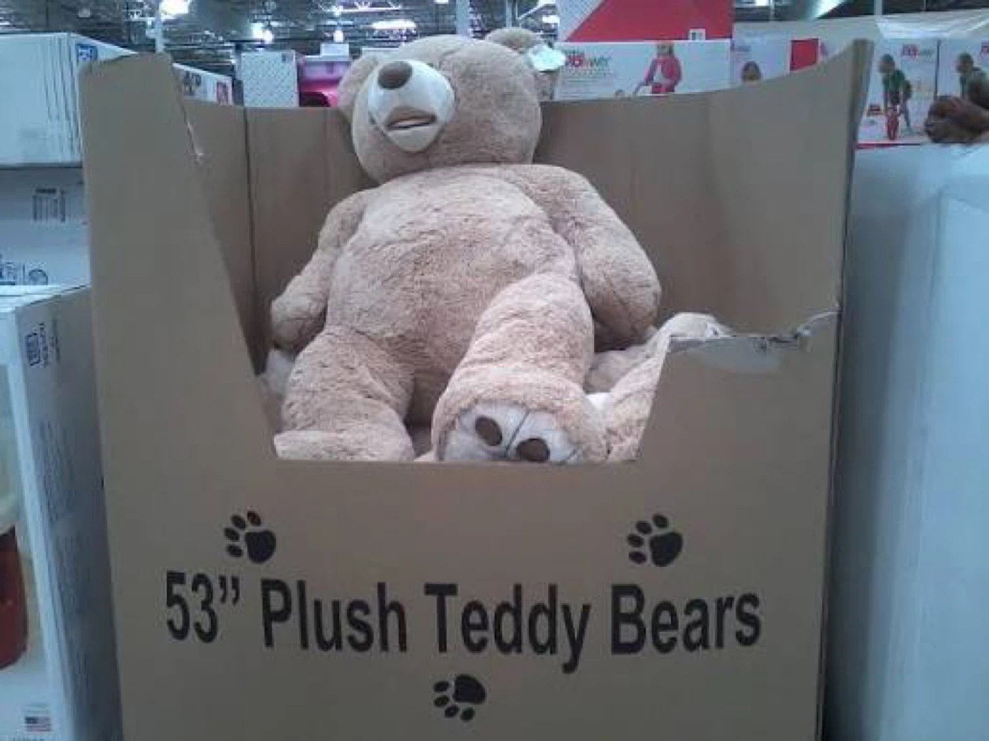 53" Plush Teddy Bear - Giant Size! - photo 4