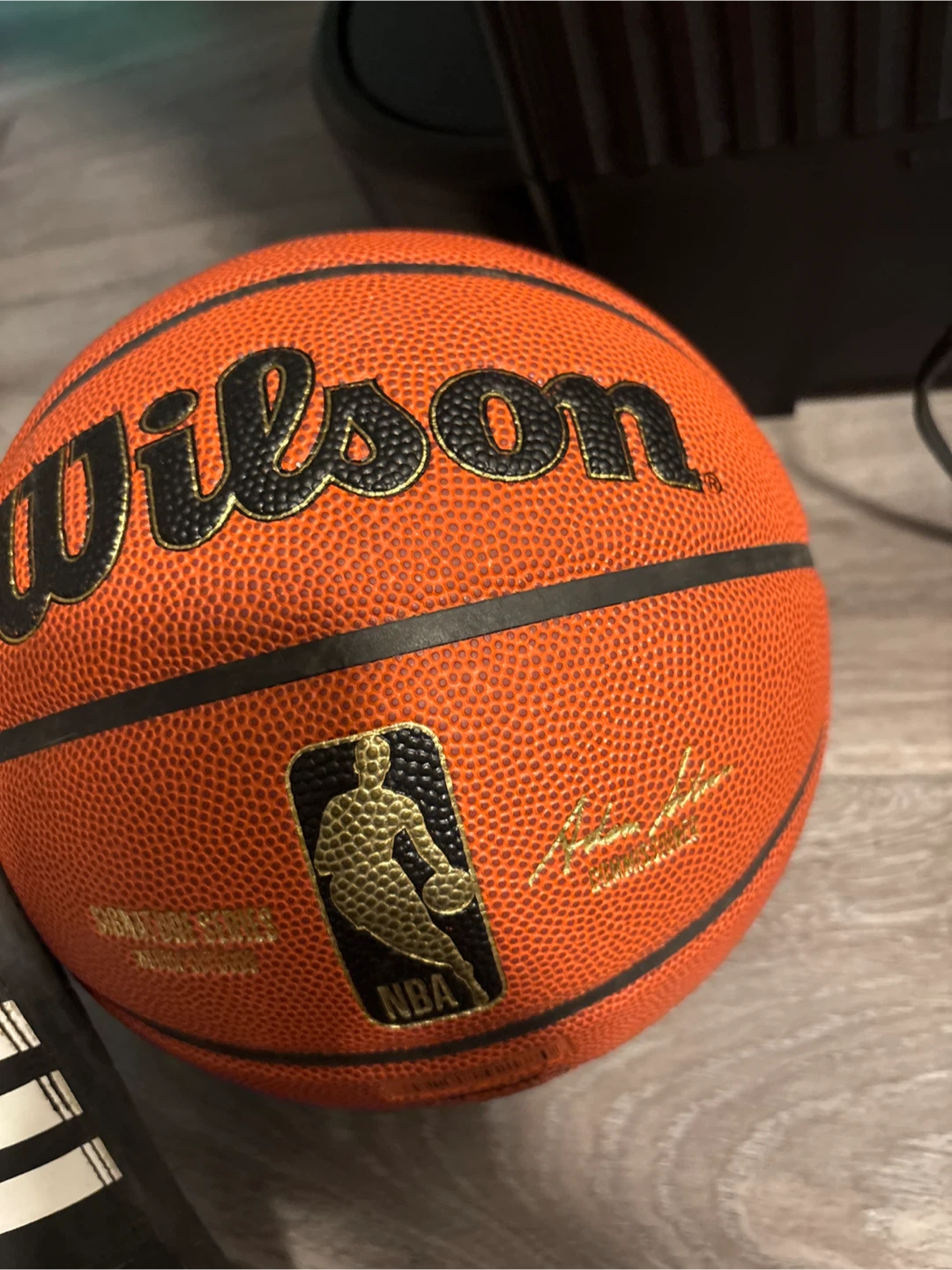 Wilson NBA Signature Series Basketball