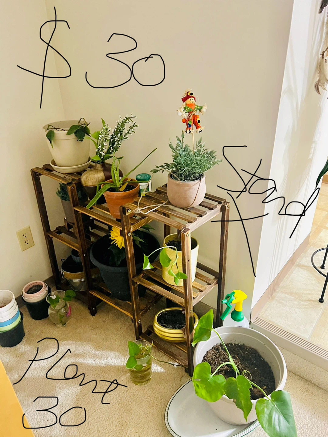 Plant Stand & plants all for 30