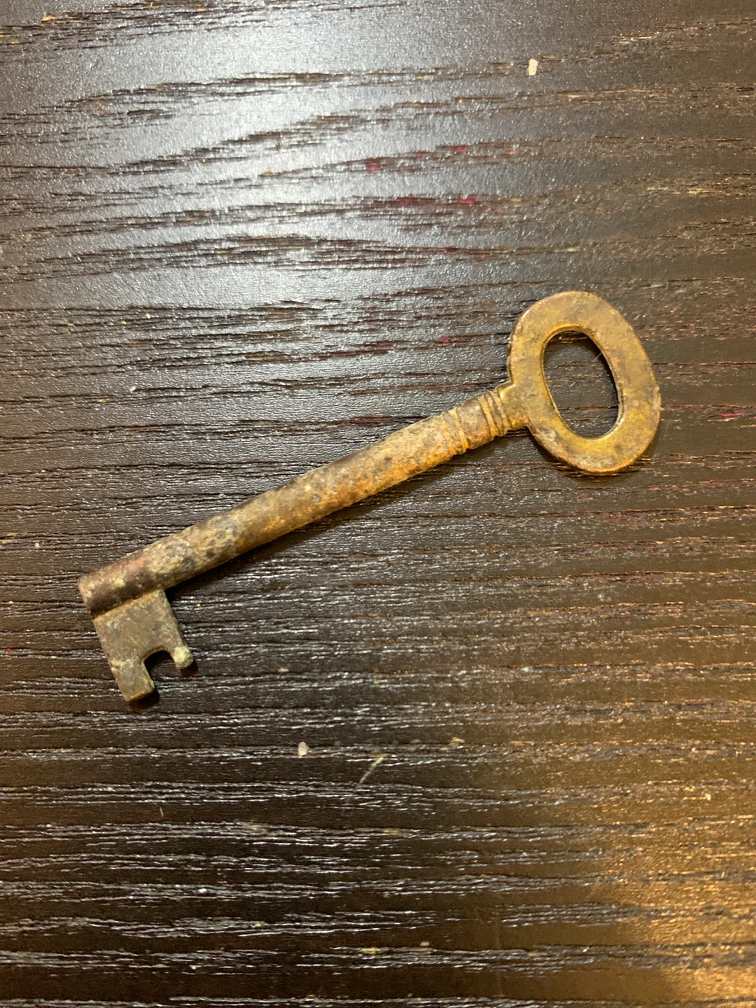 Vintage Skeleton Key
