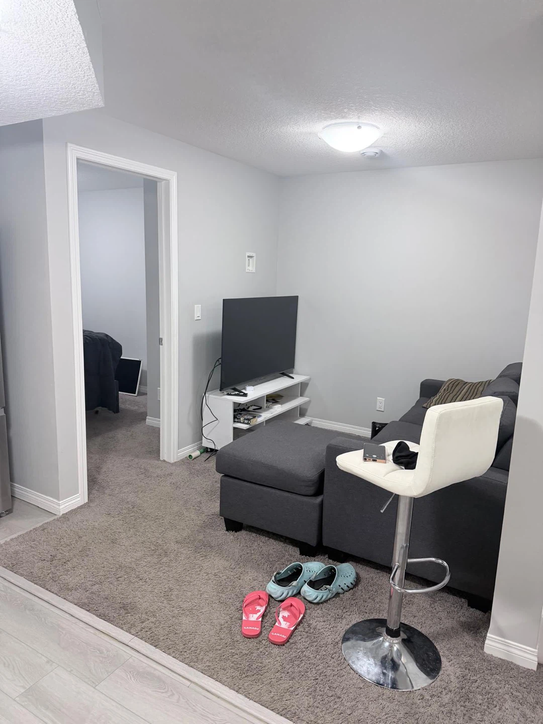 1 bedroom basement in Legacy - unfurnished - photo 3