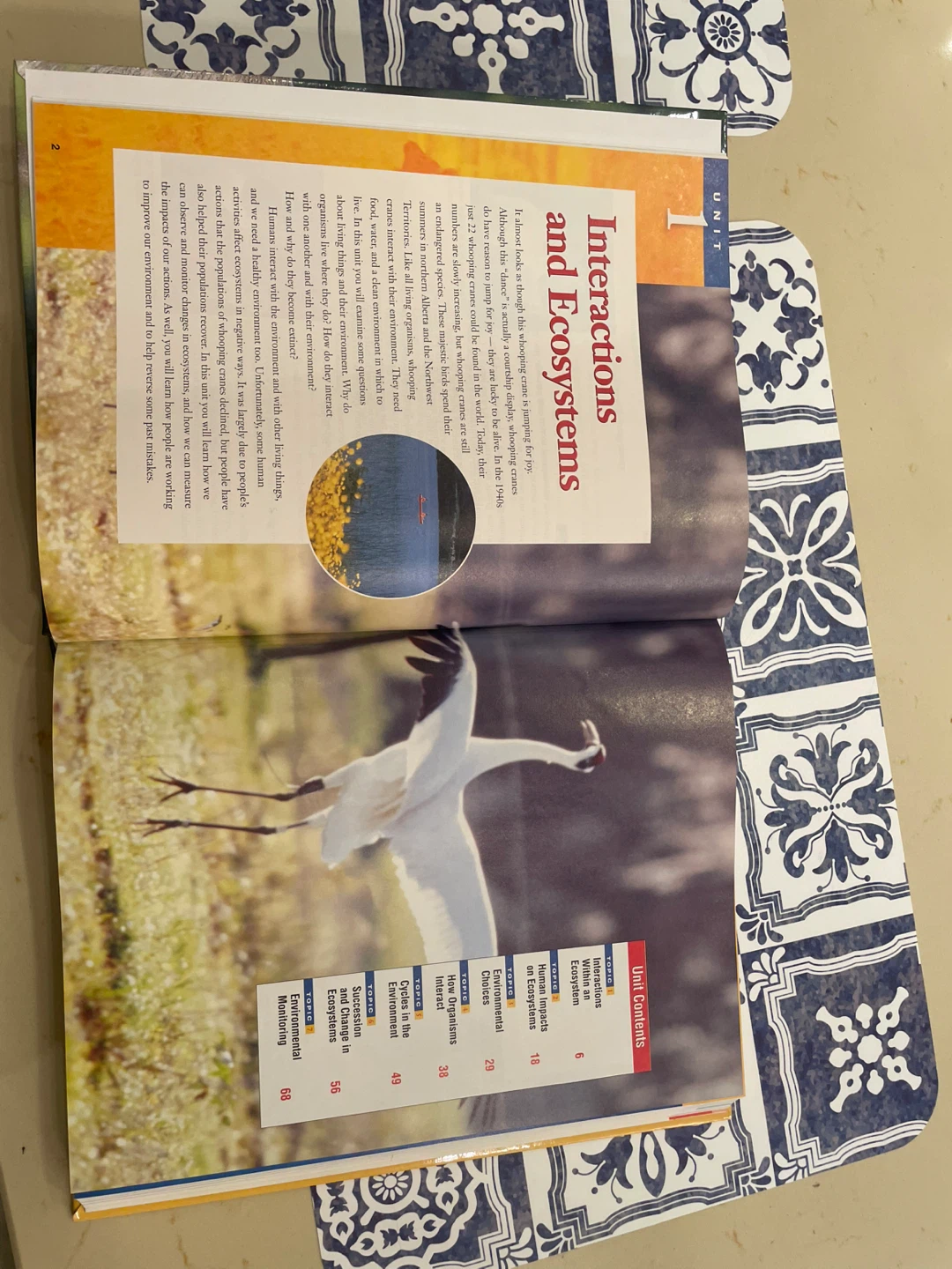 Science Focus 7 Textbook - photo 3