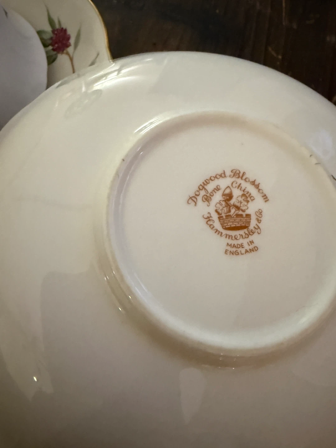 Hammersley Dogwood Blossom Bone China Tea Cup & Saucer - photo 5