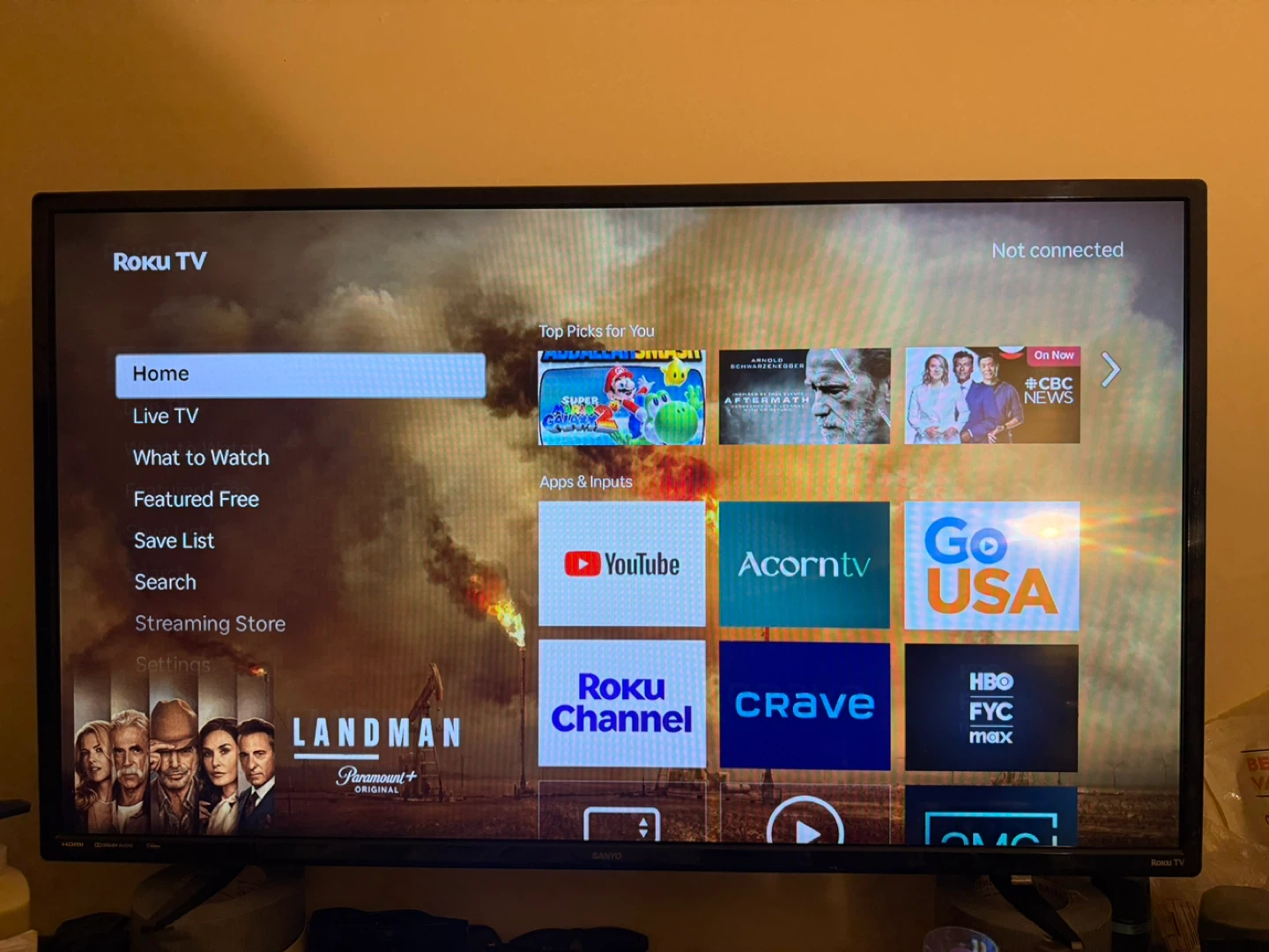 Sanyo Roku TV - photo 4