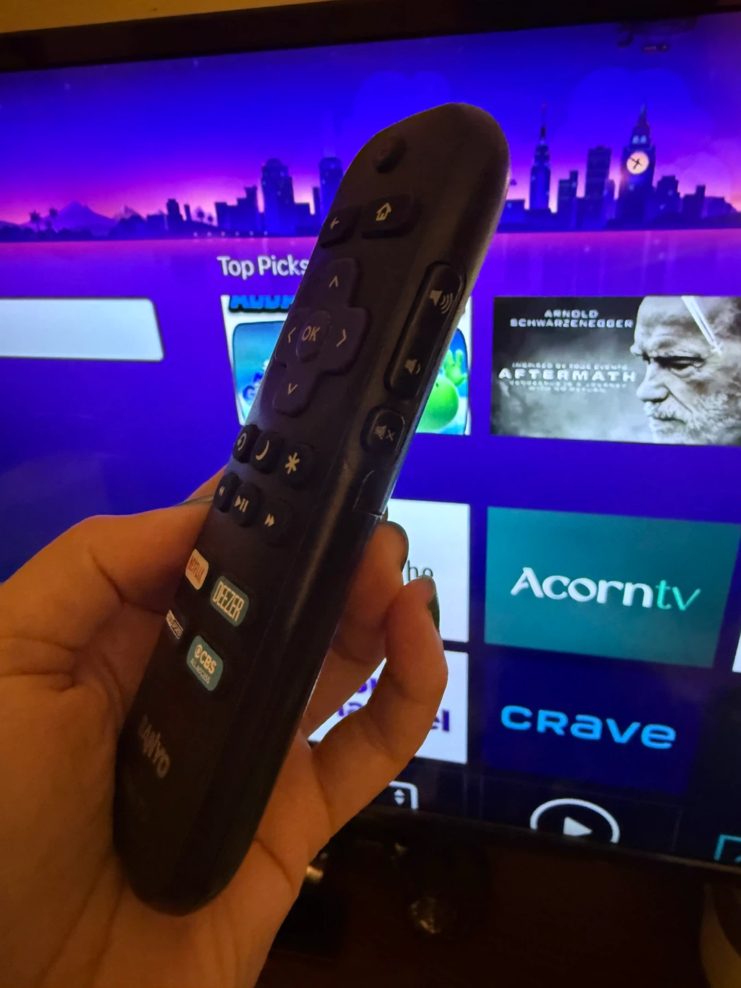 Sanyo Roku TV - photo 3
