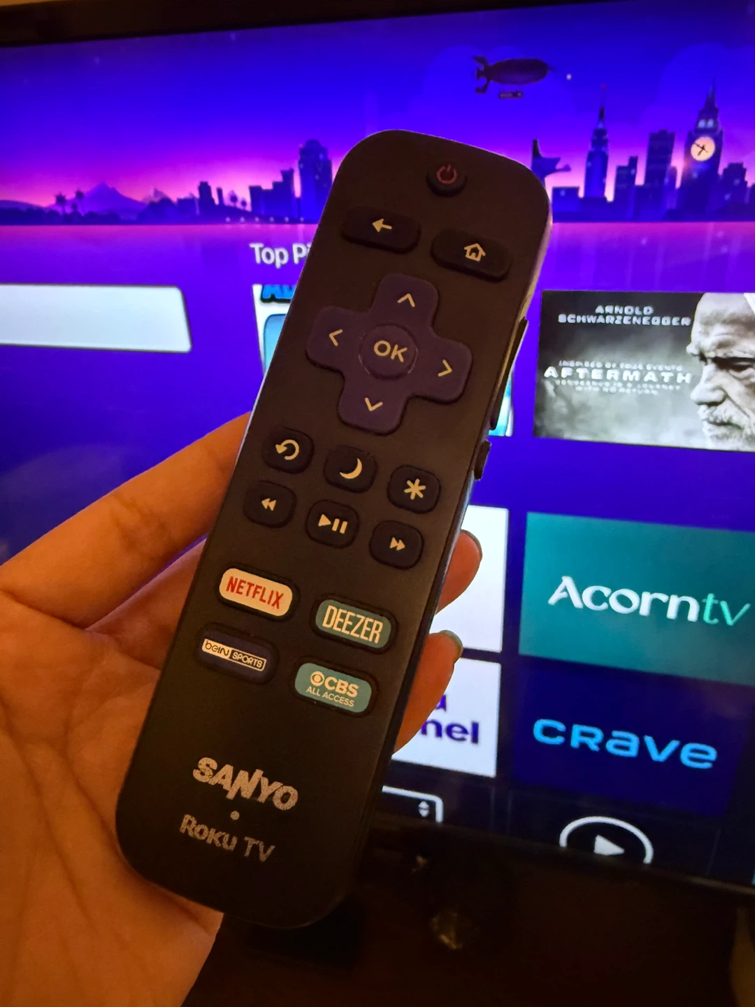 Sanyo Roku TV - photo 2
