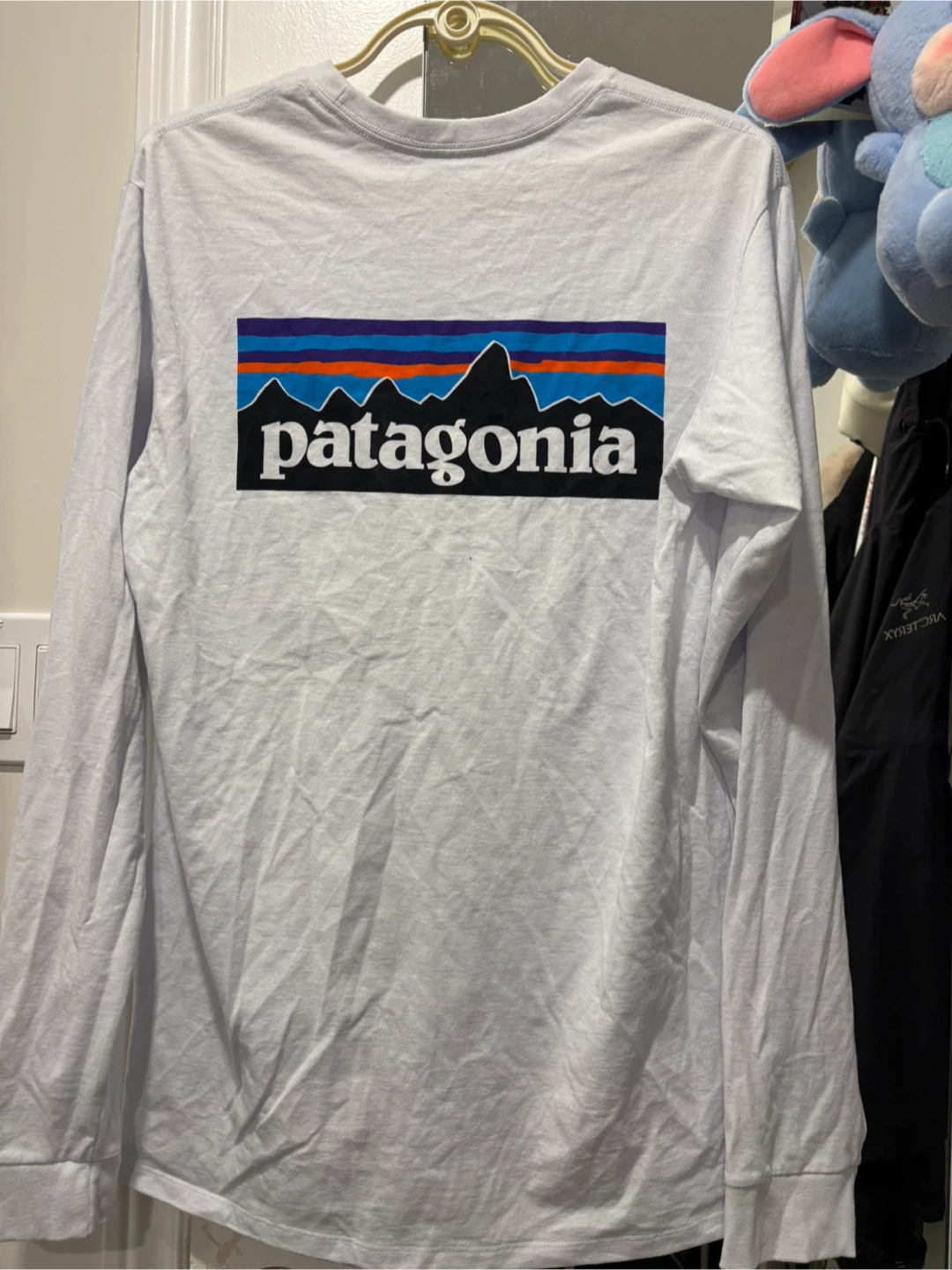 Patagonia Long Sleeve Shirt - photo 3