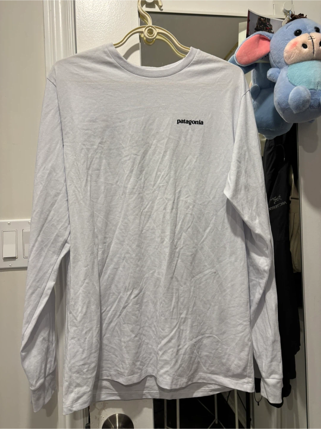 Patagonia Long Sleeve Shirt