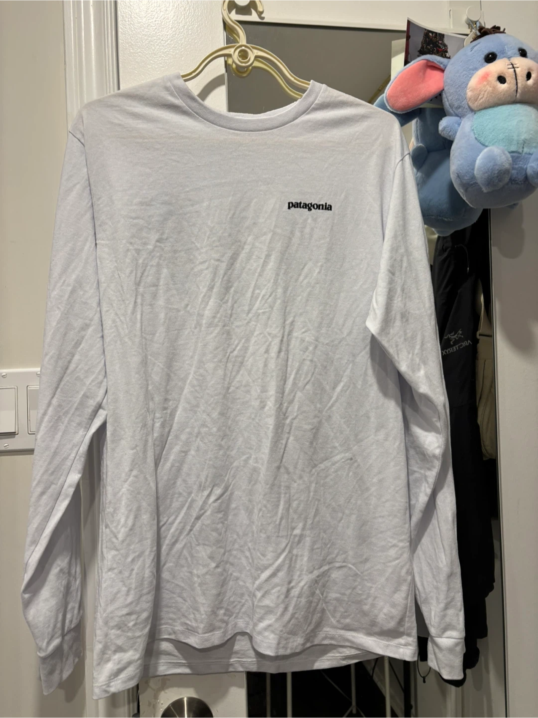 Patagonia Long Sleeve Shirt - photo 2