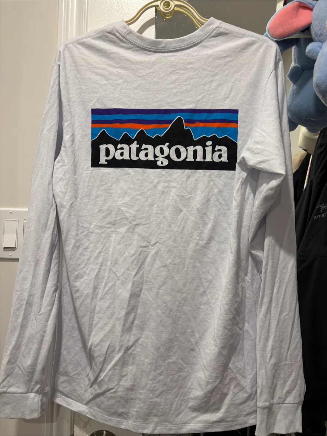 Patagonia Long Sleeve Shirt - photo 4