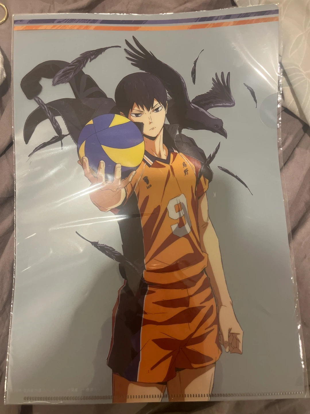 Haikyu!! Clear File Folder