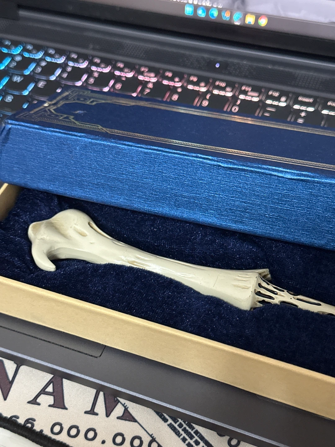 Magic Wand in Box (Voldemort Wand)