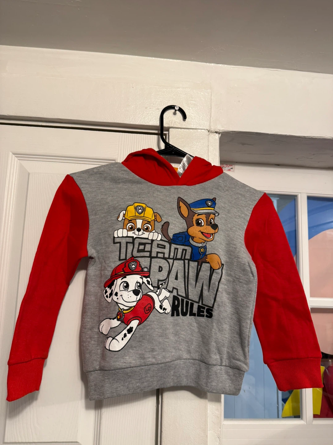 Paw Patrol Hoodie & Pants Set