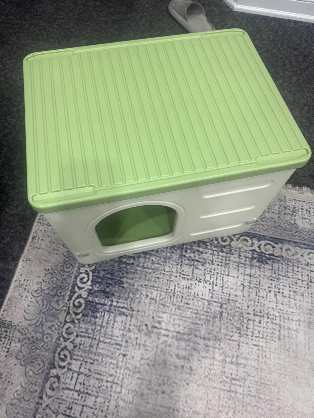 PETSFSIT Outdoor Cat House - Green & White - photo 2