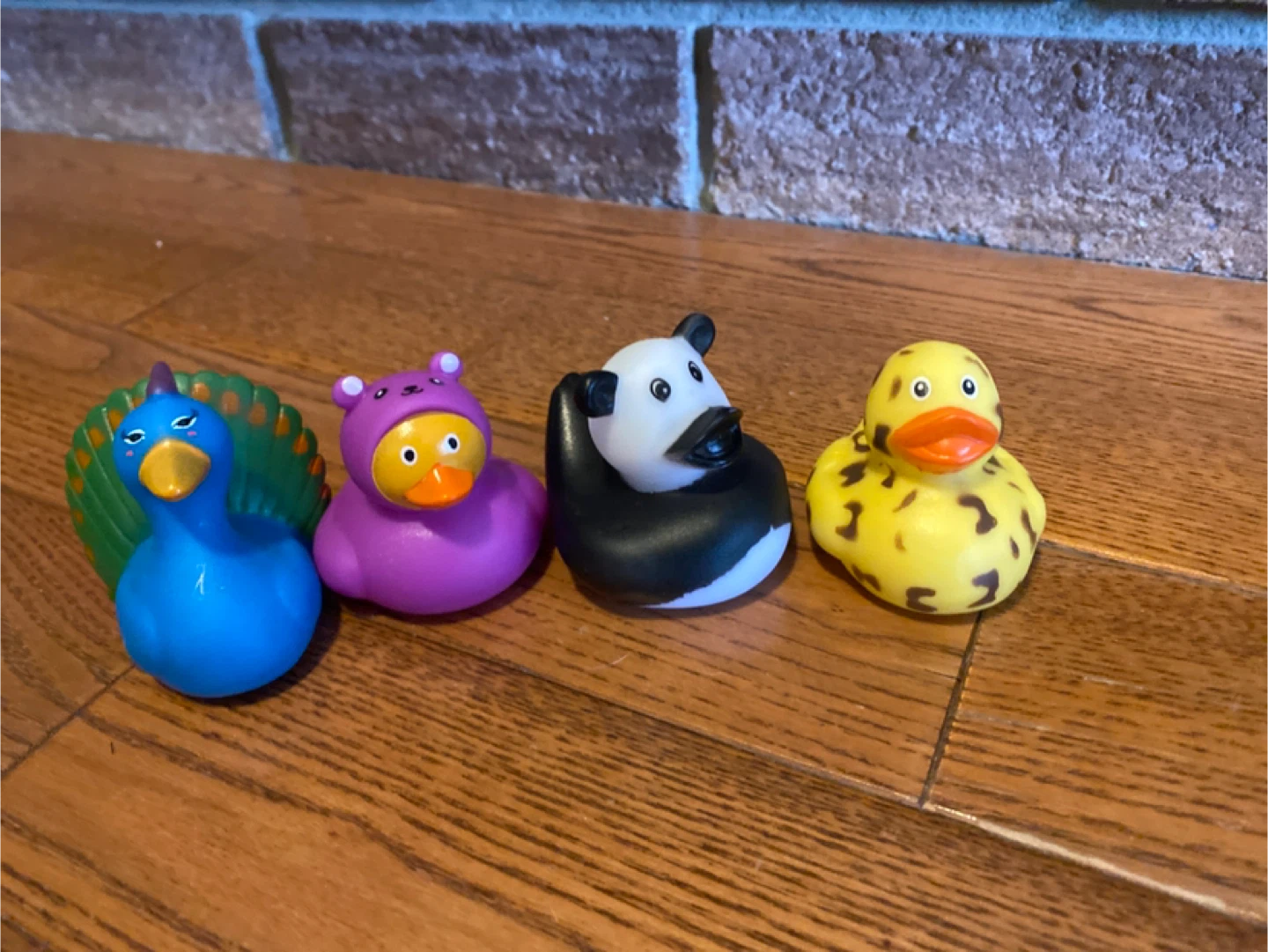 Selling 4 ducks!