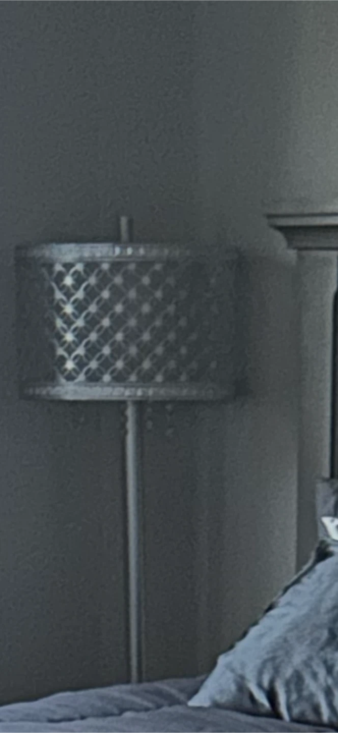 Silver True Living Floor Lamp - photo 2