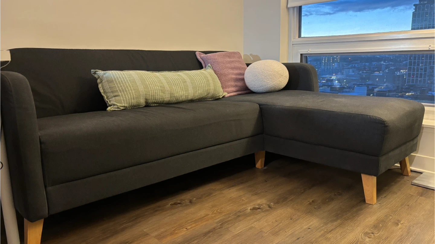 Your Next Cozy Sofa