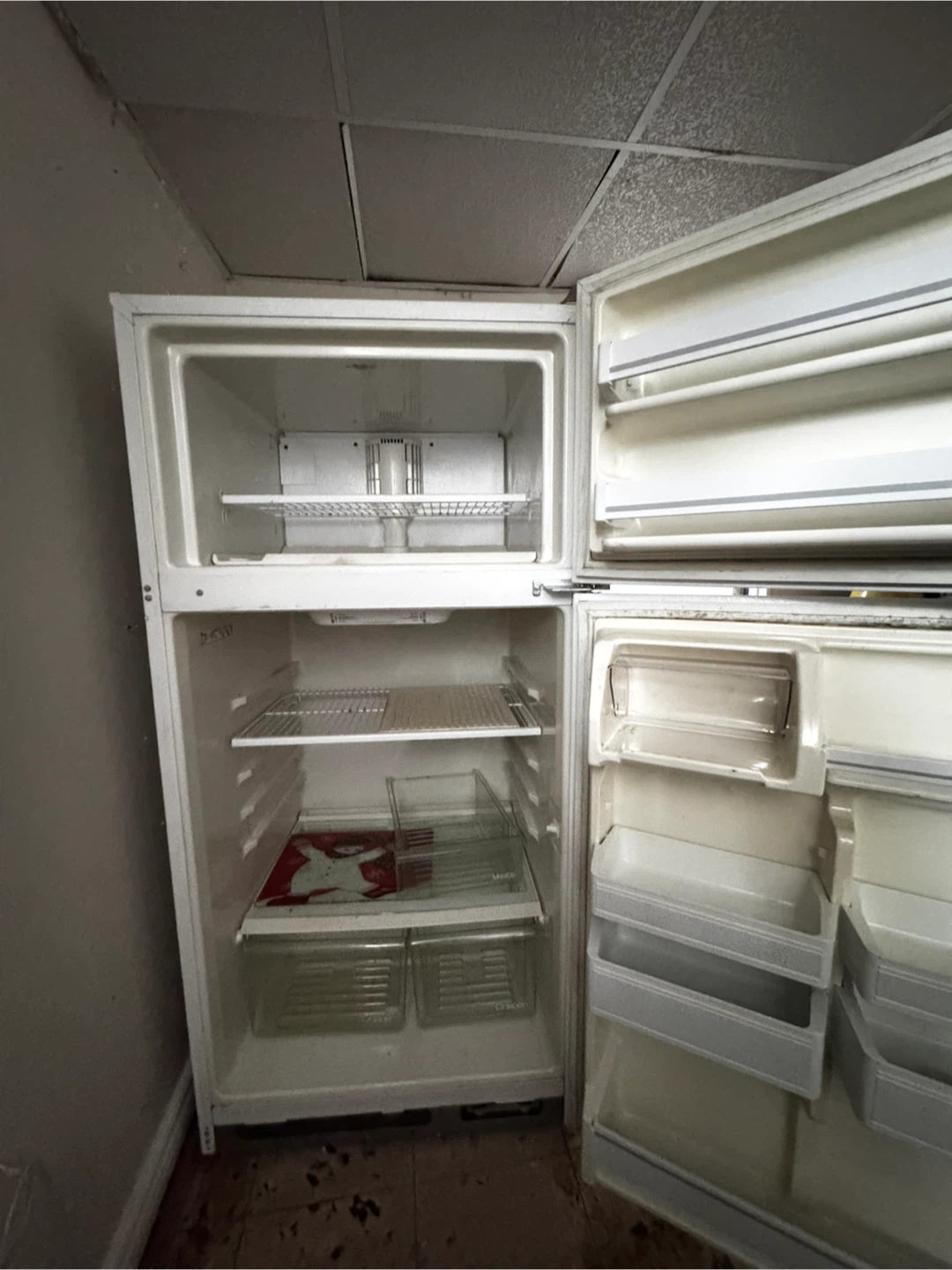 White Top Freezer Refrigerator - photo 2