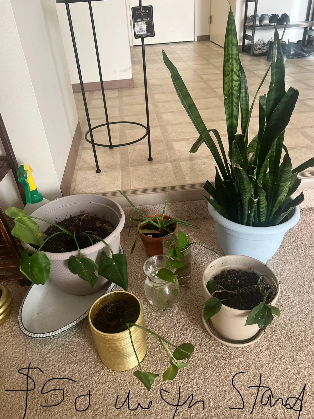 Move out sale - photo 3