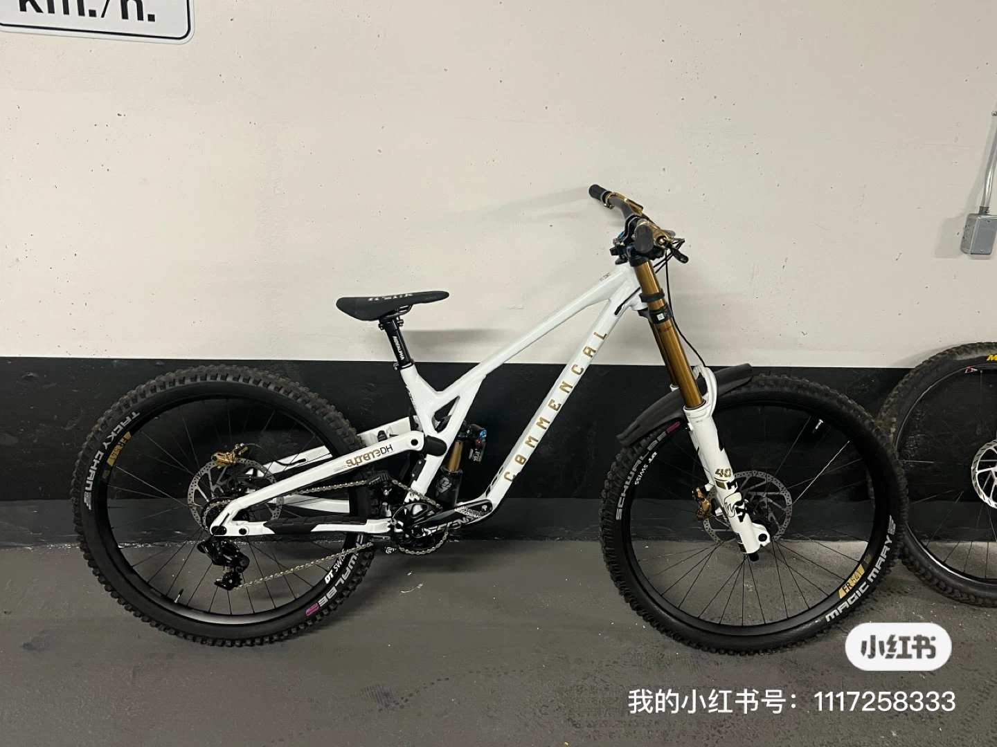 Commencal Supreme DH Downhill Mountain Bike - photo 5