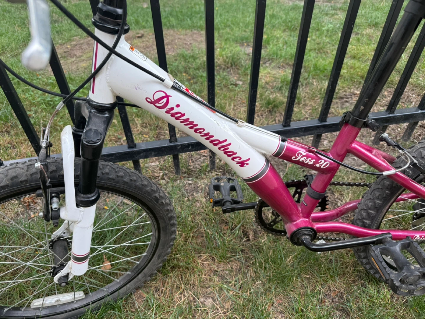 Diamondback Tess 20 Girls Bike - Pink & White - photo 2