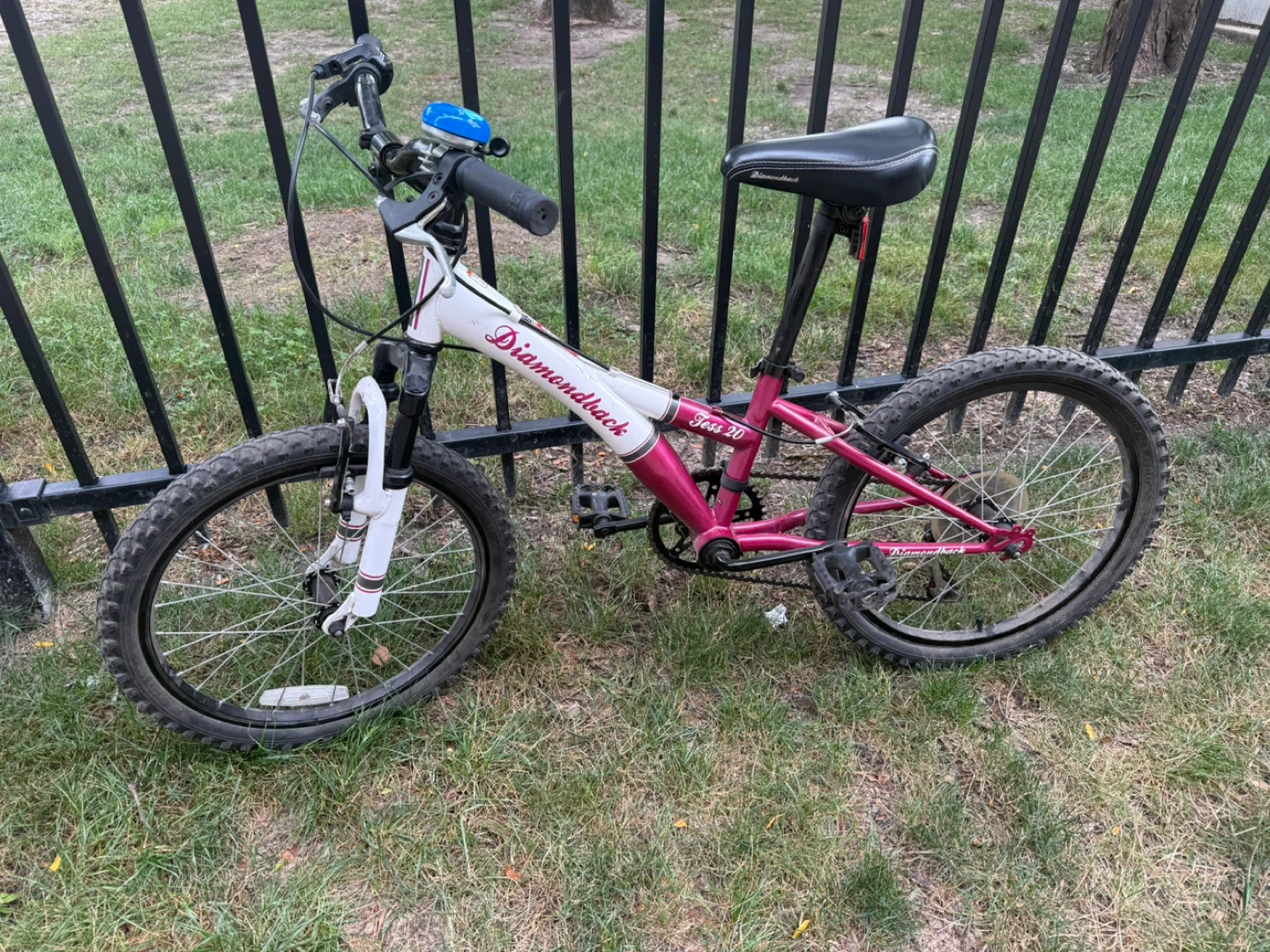 Diamondback Tess 20 Girls Bike - Pink & White