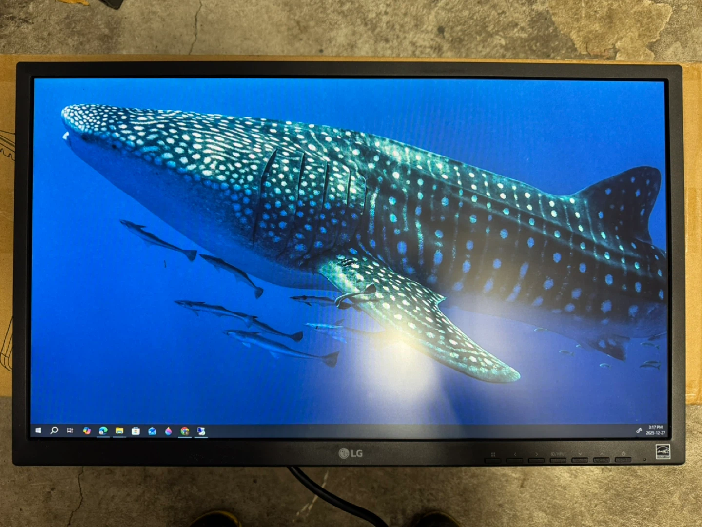 LG 24BK550Y-B 24" Monitor - Qty. 2