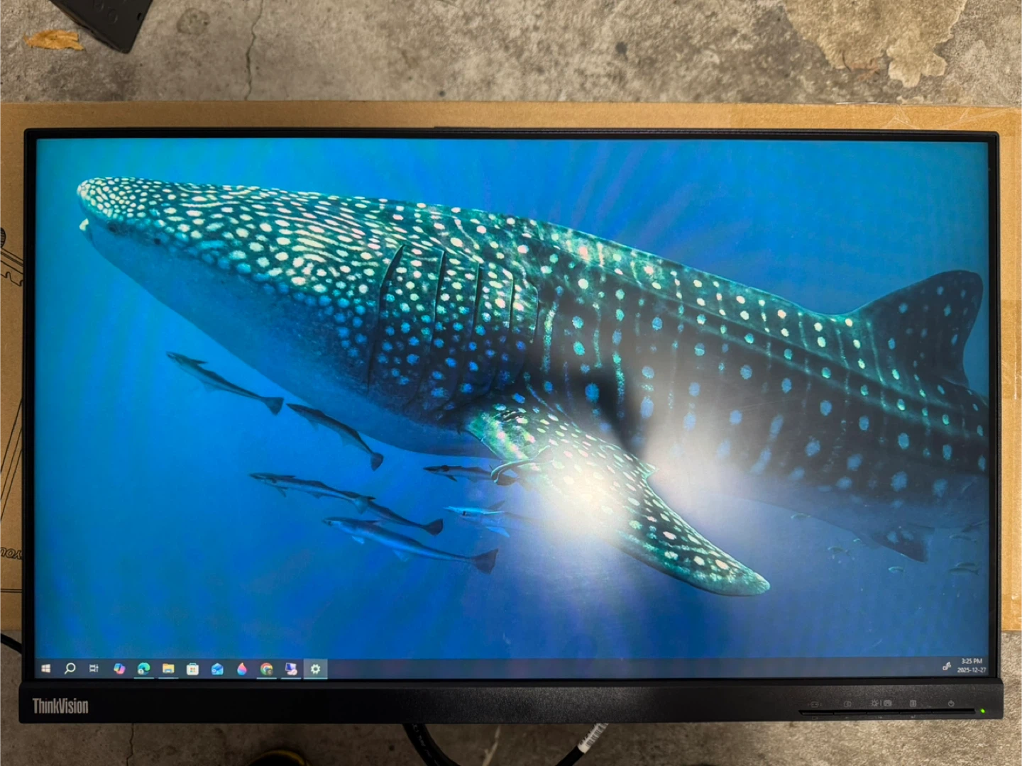 Lenovo ThinkVision Monitor (Qty. 2)