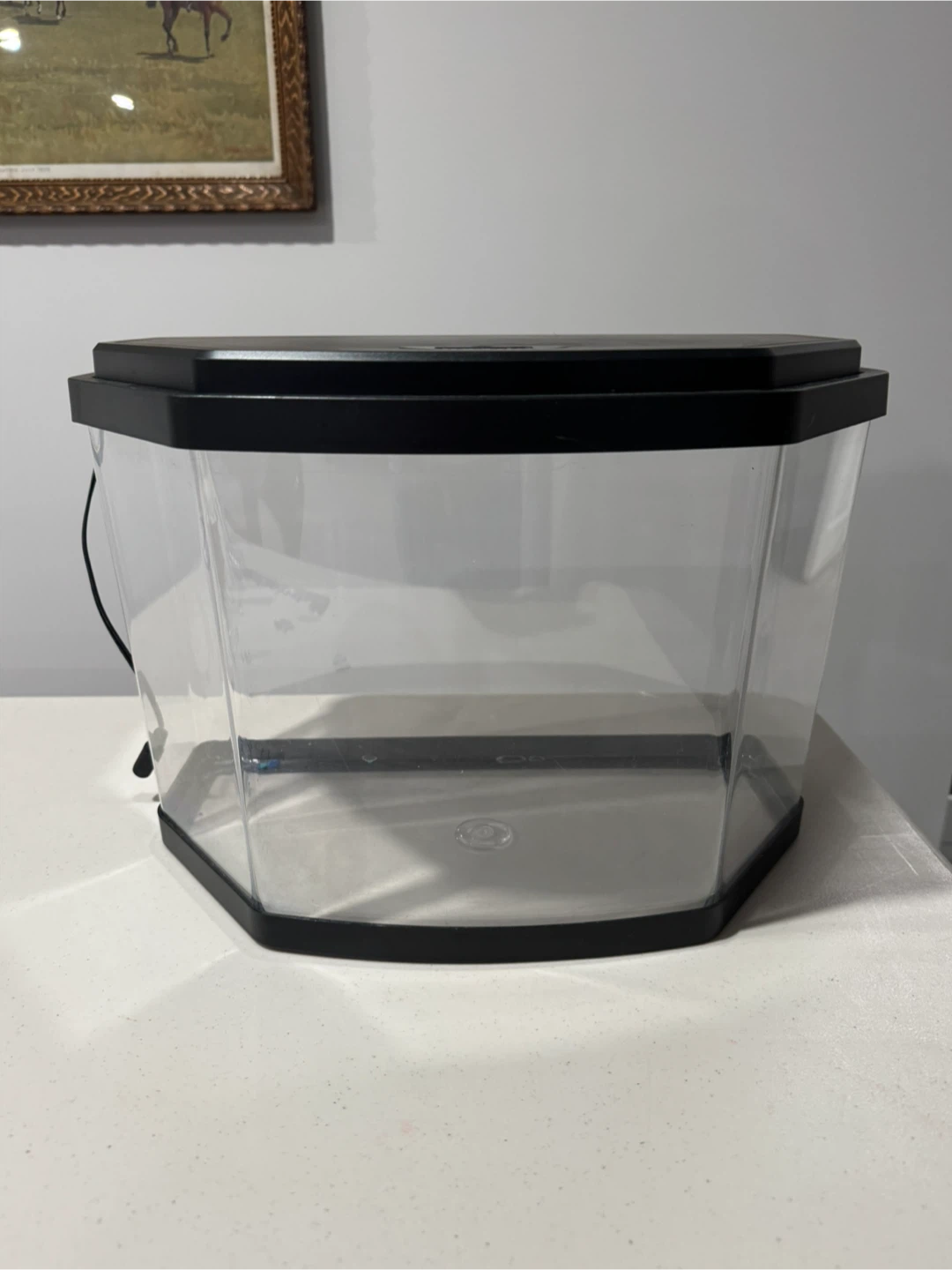 Ultimate fish starter kit - photo 2