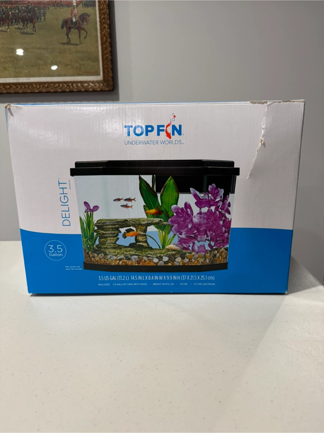 Ultimate fish starter kit