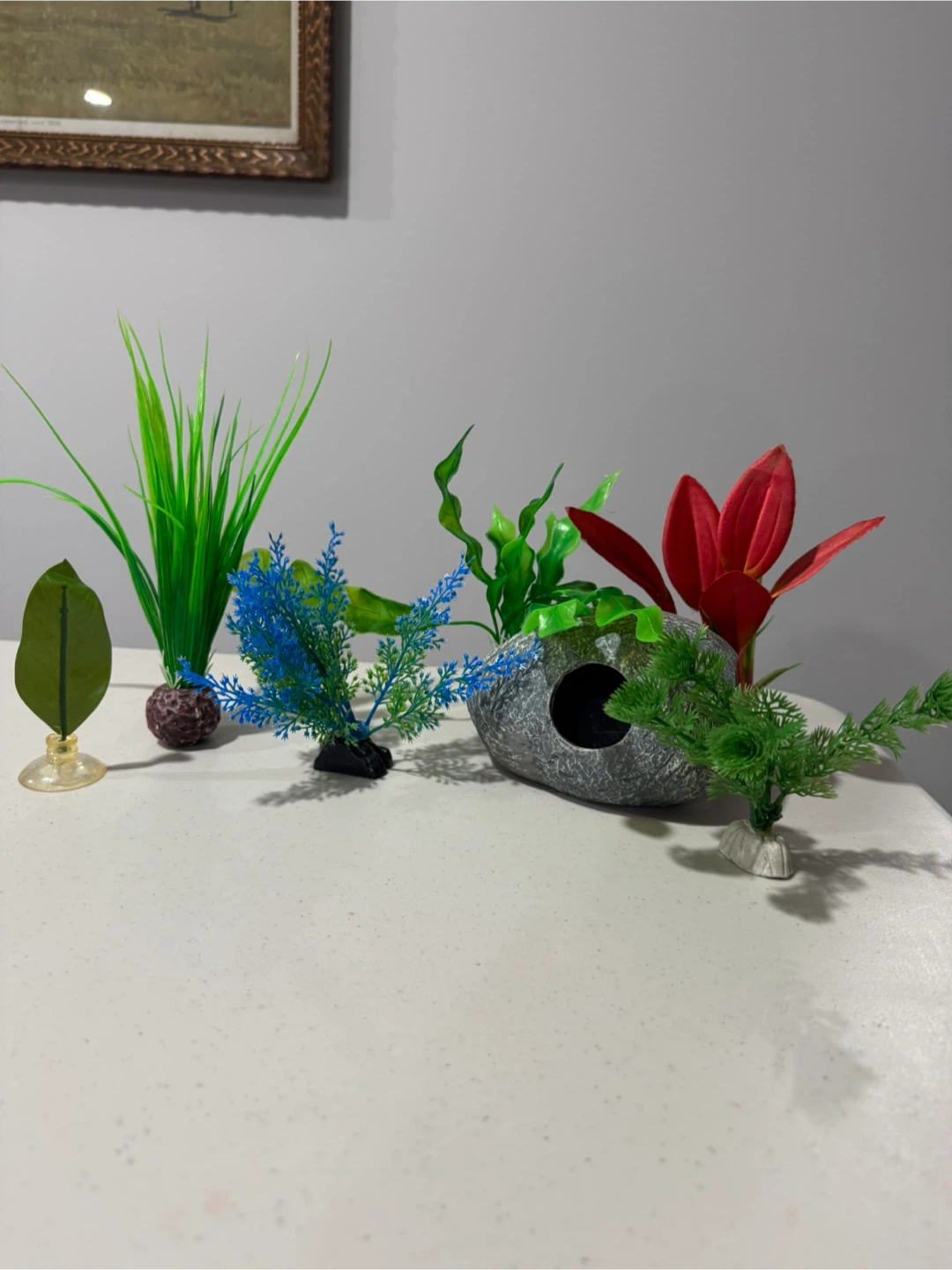 Ultimate fish starter kit - photo 3