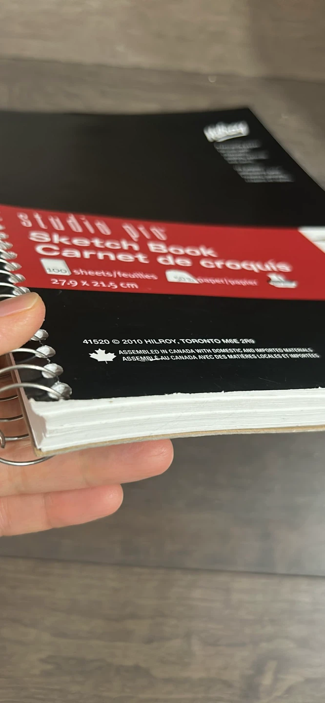 Hilroy Studio Pro Sketch Book - photo 2