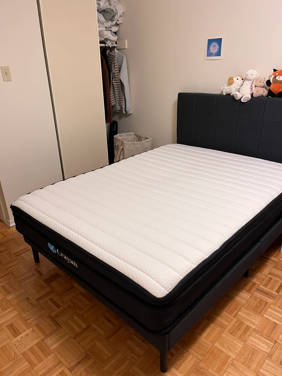 Double 10” hybrid mattress and upholstery bed frame