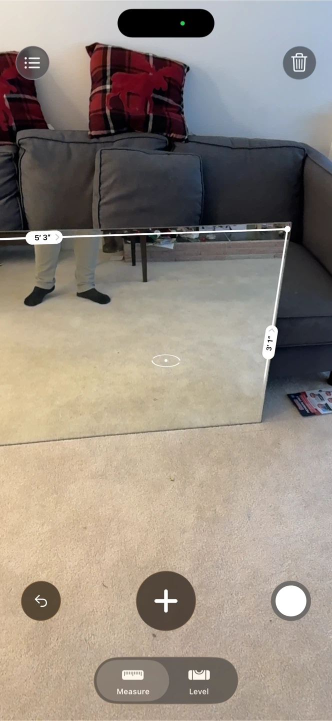 Large Mirror - 5'3" x 3'1" - photo 2