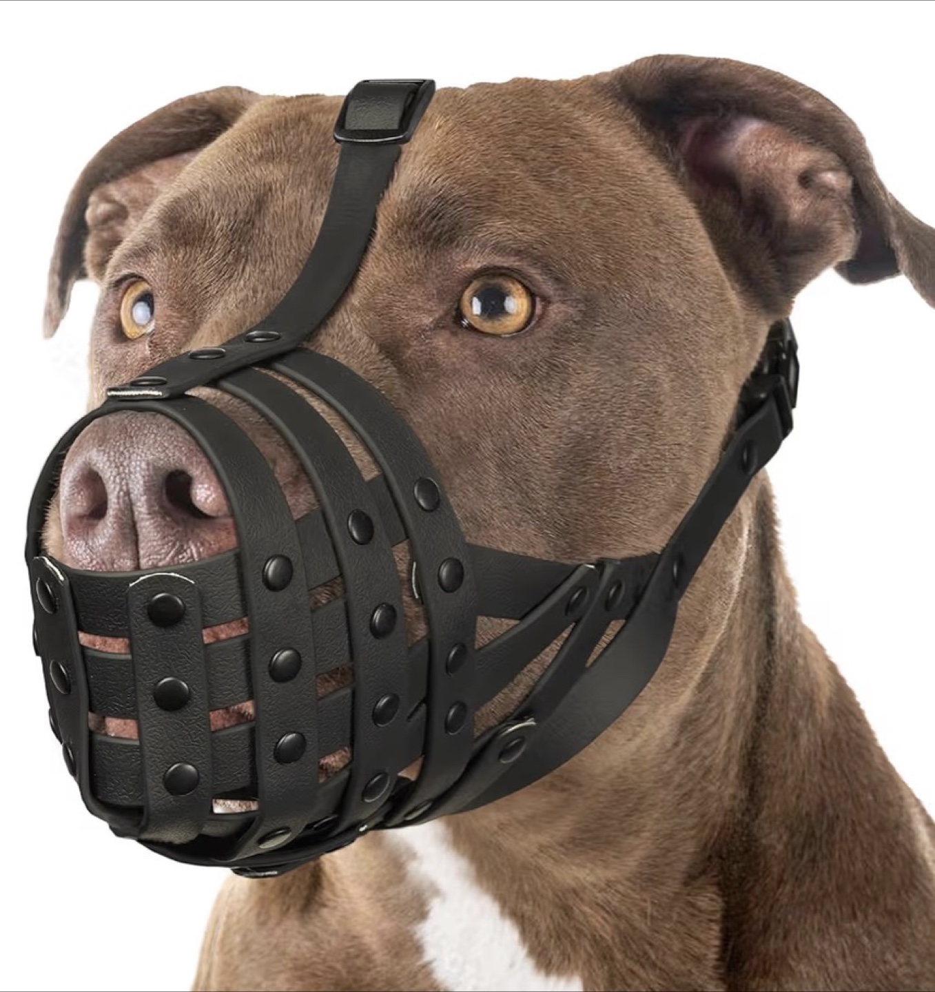 Mayerzon Dog Muzzle - Size M - photo 5