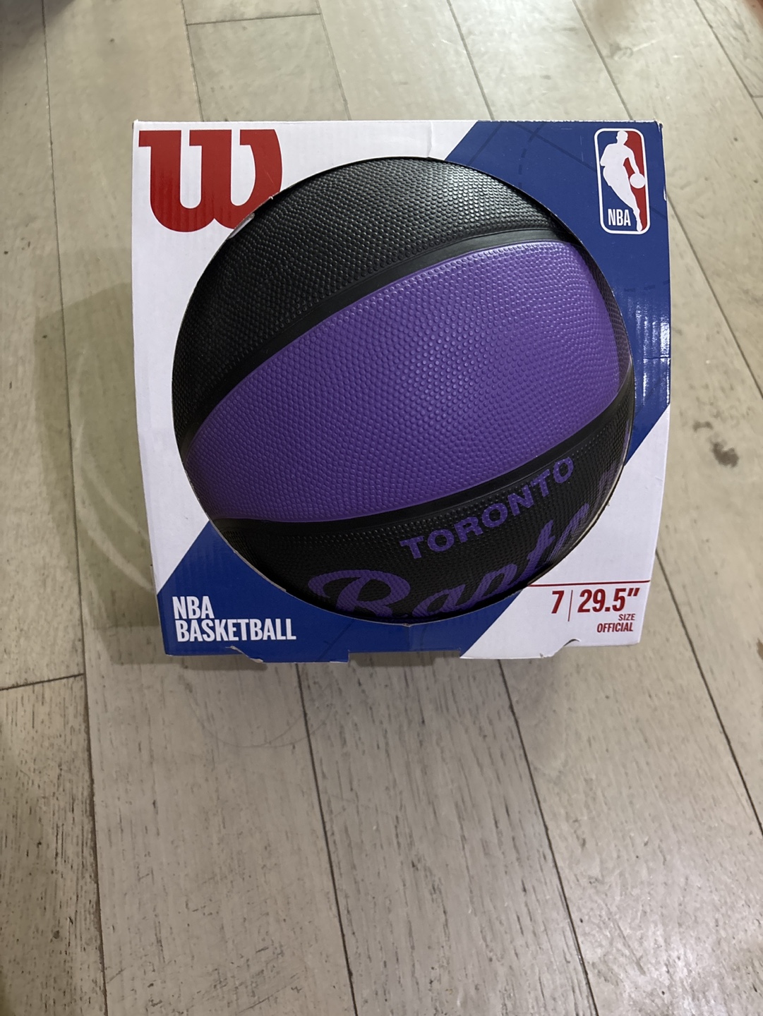Wilson NBA Raptors Basketball - Size 7