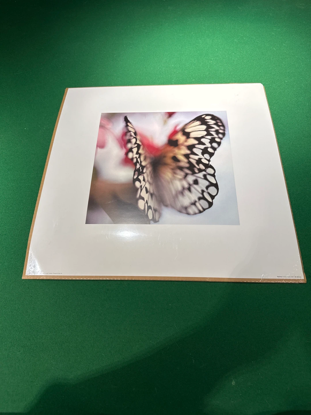 IKEA butterfly insert