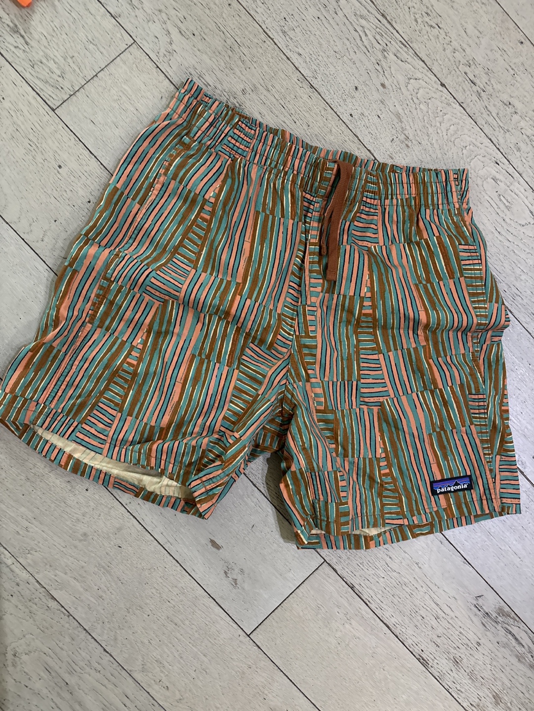 Men’s Patagonia Baggies Shorts, Striped